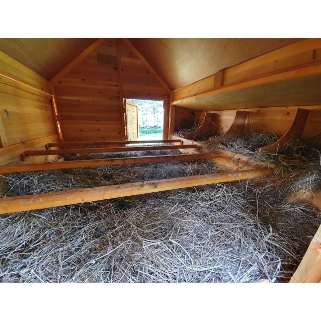 Grand poulailler Bassette XXL 15 à 18 poules toit noir