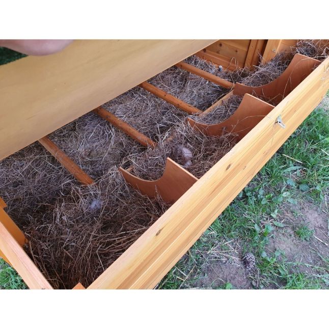 Grand poulailler Bassette XXL 15 à 18 poules toit noir