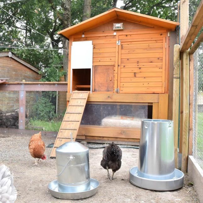 Poulailler Vorwerk 10 à 12 poules toit shingle noir