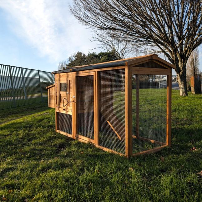 Poulailler Chabo toit shingle 2 à 4 poules