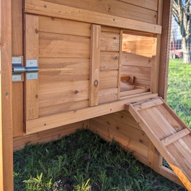 Poulailler Chabo toit shingle 2 à 4 poules