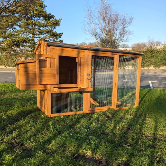 Poulailler Chabo toit shingle 2 à 4 poules