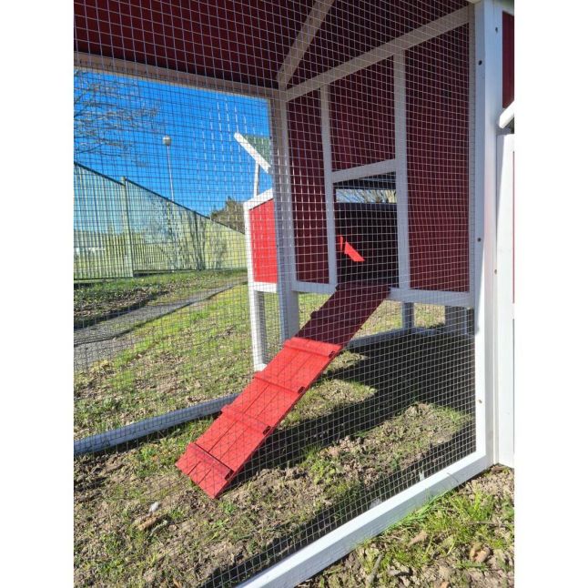 Poulailler Deluxe rouge toit shingle vert 10 à 12 poules V3.0