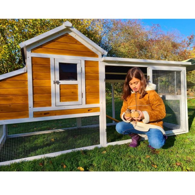 Poulailler Toit Renforcé M toit plastique 6 à 8 poules