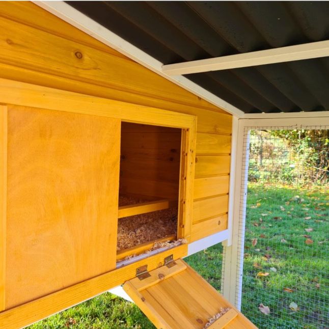 Poulailler Toit Renforcé M toit plastique 6 à 8 poules