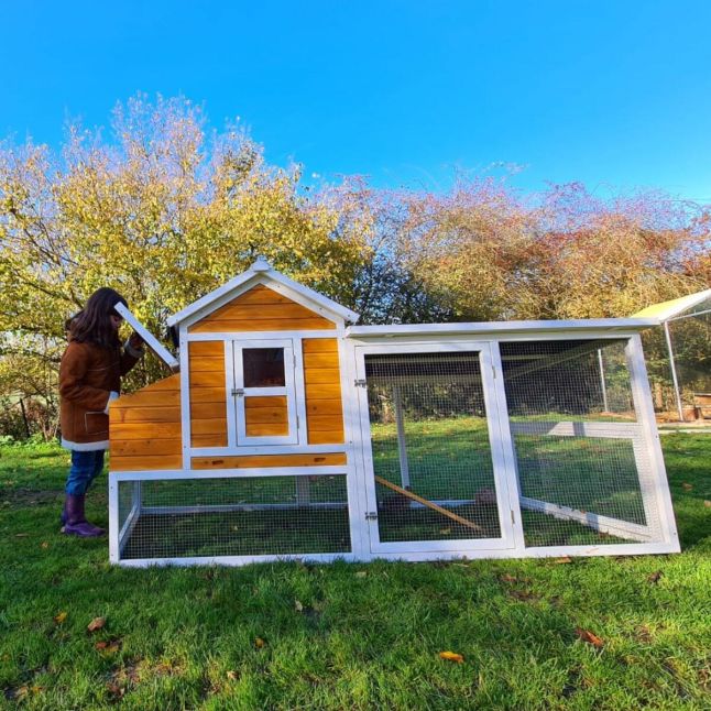 Poulailler Toit Renforcé M toit plastique 6 à 8 poules