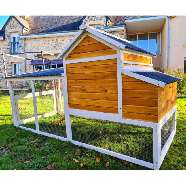 Poulailler Toit Renforcé M toit plastique 6 à 8 poules
