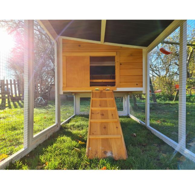 Poulailler Toit Renforcé M toit plastique 6 à 8 poules