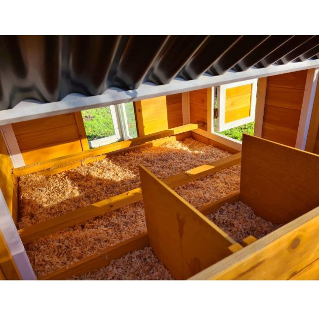 Poulailler Toit Renforcé M toit plastique 6 à 8 poules