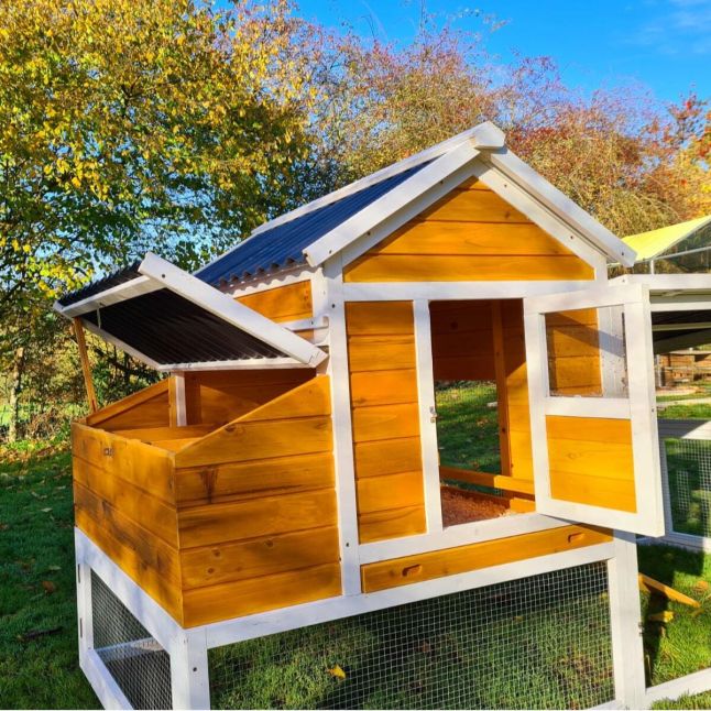 Poulailler Toit Renforcé M toit plastique 6 à 8 poules