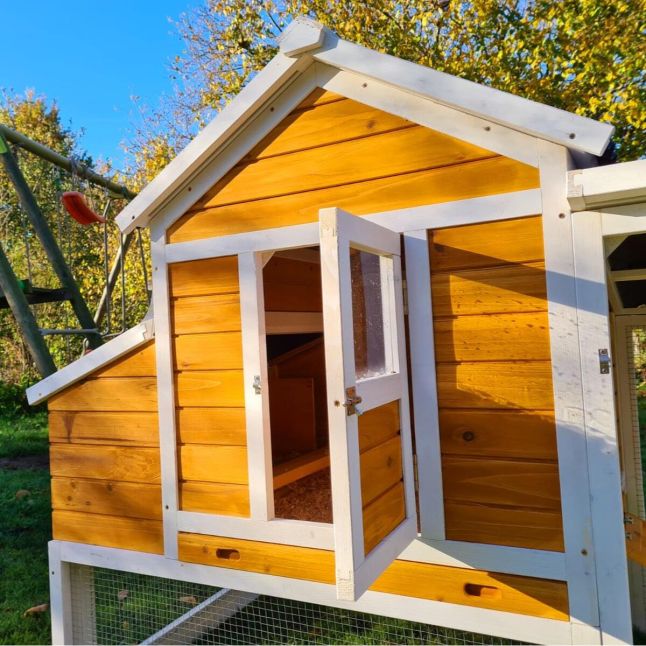 Poulailler Toit Renforcé M toit plastique 6 à 8 poules